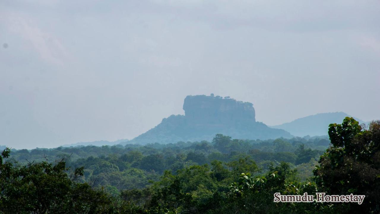 Sumudu Homestay Sigirîya Extérieur photo